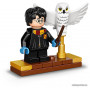  LEGO Harry Potter 75979 Букля