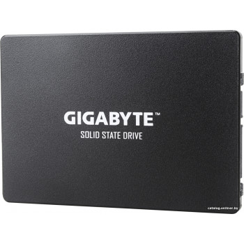  Gigabyte 120GB GP-GSTFS31120GNTD