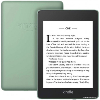  Amazon Kindle Paperwhite 2018 32GB (шалфей)