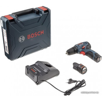  Bosch GSR 12V-30 Professional 06019G9000 (с 2-мя АКБ, кейс)